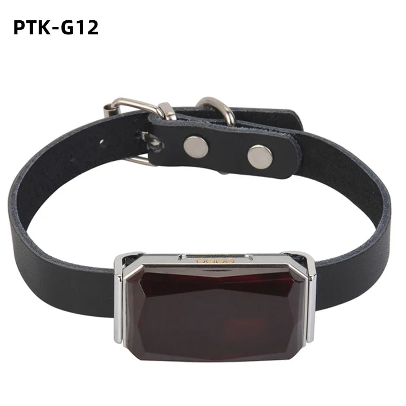 With Gps Tracker Pet Collar Waterproof Anti-Lost Dog Collar For Dogs Cats Outdoor Long Standby Footprint Tracking Locator Items