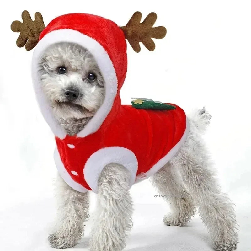 Christmas Dog Costume Festive Red Hoodie with Antlers Pet Outfit Winter Cozy Coat for Small Puppy Chihuahua Yorkshire